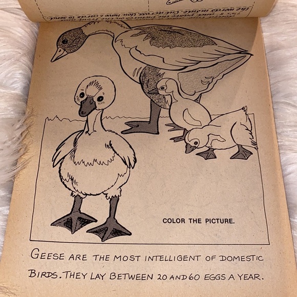 Vintage Fun Pad Book - Picture 3 of 8